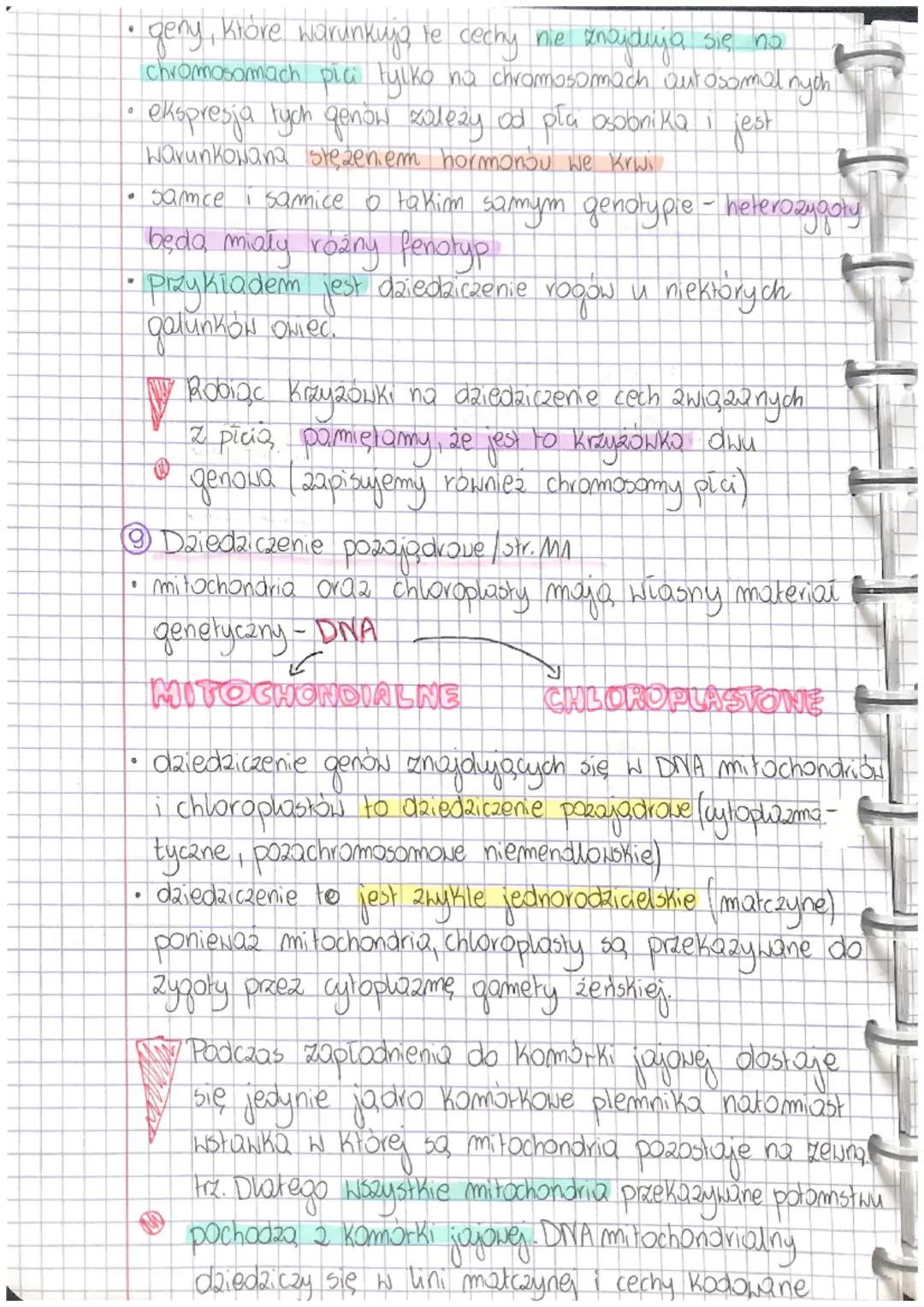LEKCIA
Temat: DETERMINACJA PECI.CECHY SPRIE ZONE Z PŁCIĄ.
@ Shariotyp człowieka
CHROMOSOMY-22 pang (60))
23 pary
1 para e
• Qutosomy