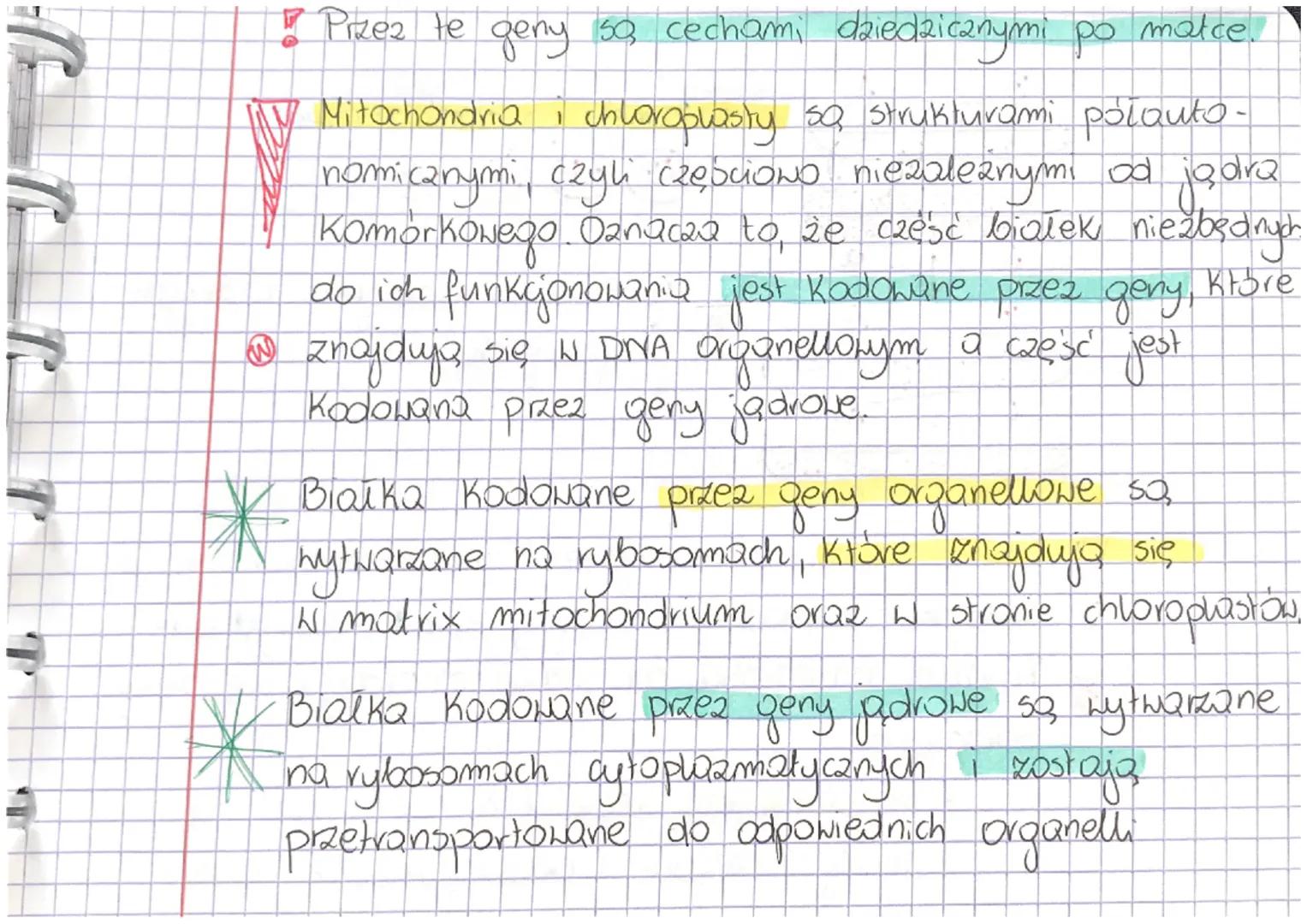 LEKCIA
Temat: DETERMINACJA PECI.CECHY SPRIE ZONE Z PŁCIĄ.
@ Shariotyp człowieka
CHROMOSOMY-22 pang (60))
23 pary
1 para e
• Qutosomy