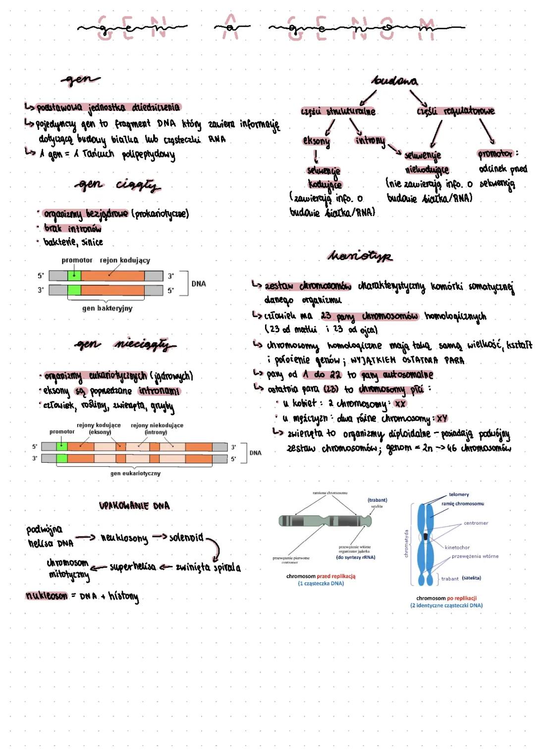 Zrozum geny: podstawy genetyki
