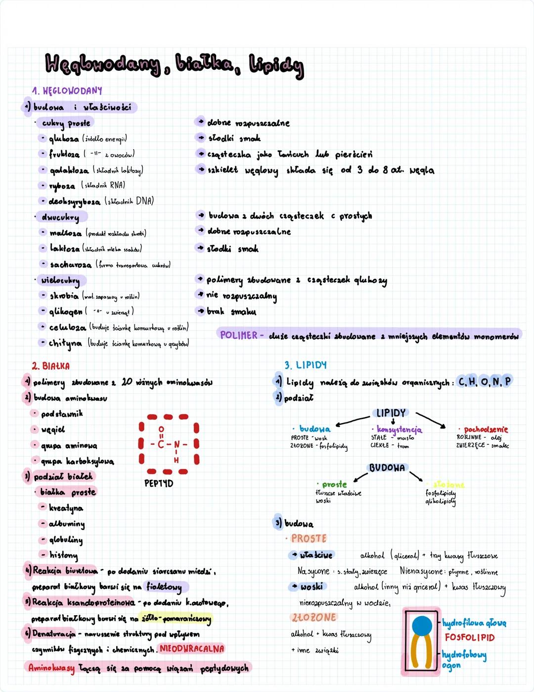 Heqbwodany, białka, lipidy
1. HEGLOWODANY
•) budowa i właściwości
cukry proste
glukoza (ródło energii)
- fruktoza (-11- 2 Owoców)
qalaktoza
