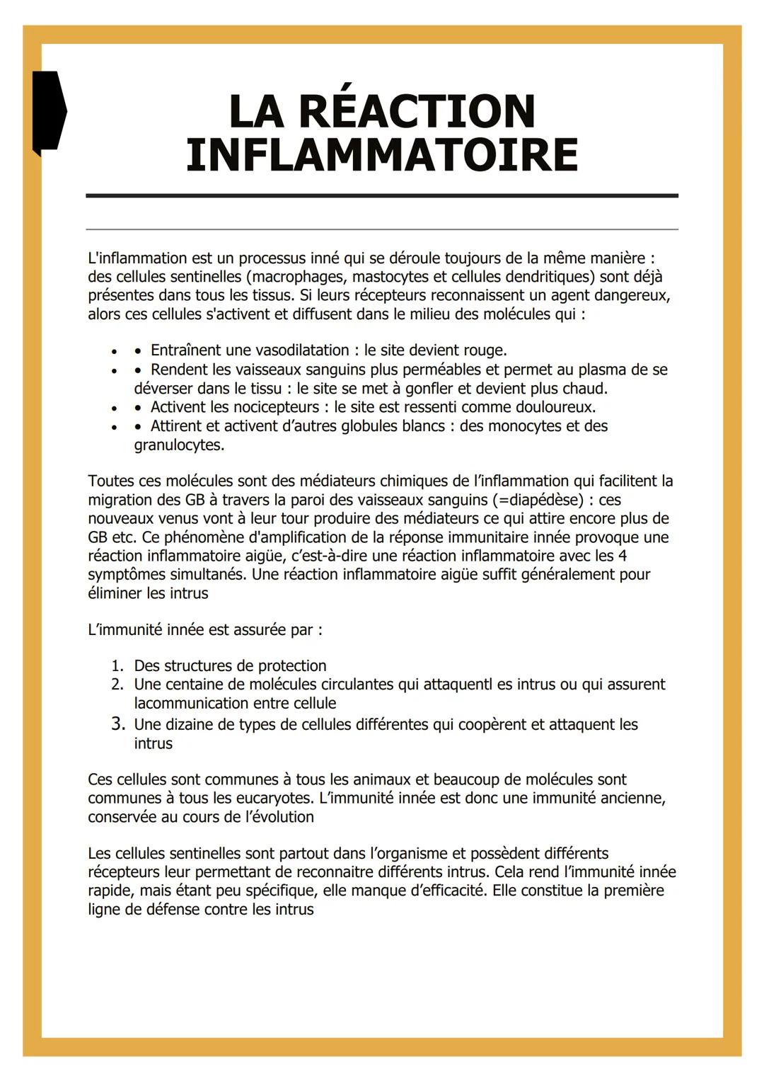 # LA RÉACTION
# INFLAMMATOIRE
L'inflammation est un processus inné qui se déroule toujours de la même manière :
des cellules sentinelles (m