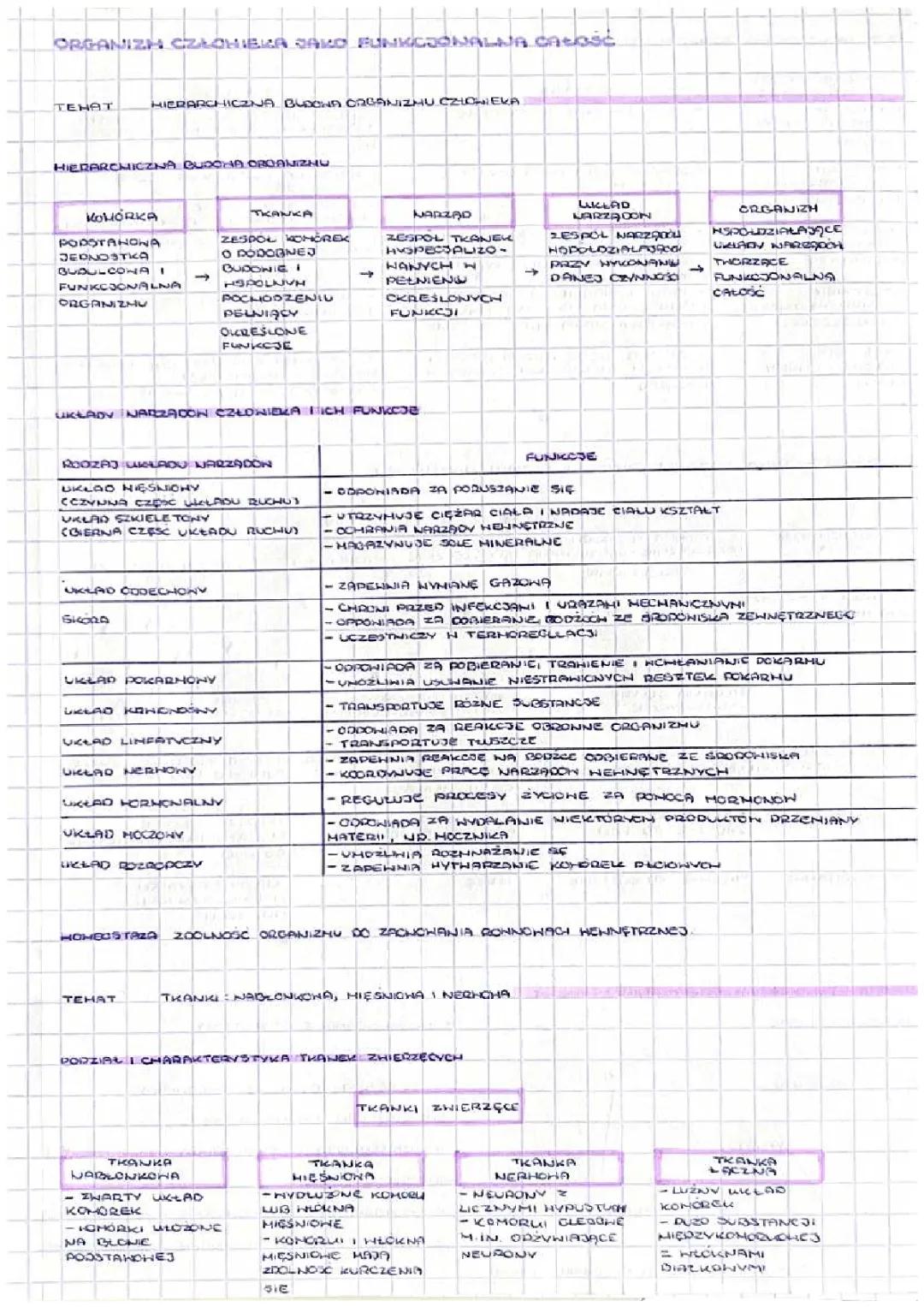 Organizm człowieka jako funkcjonalna całość