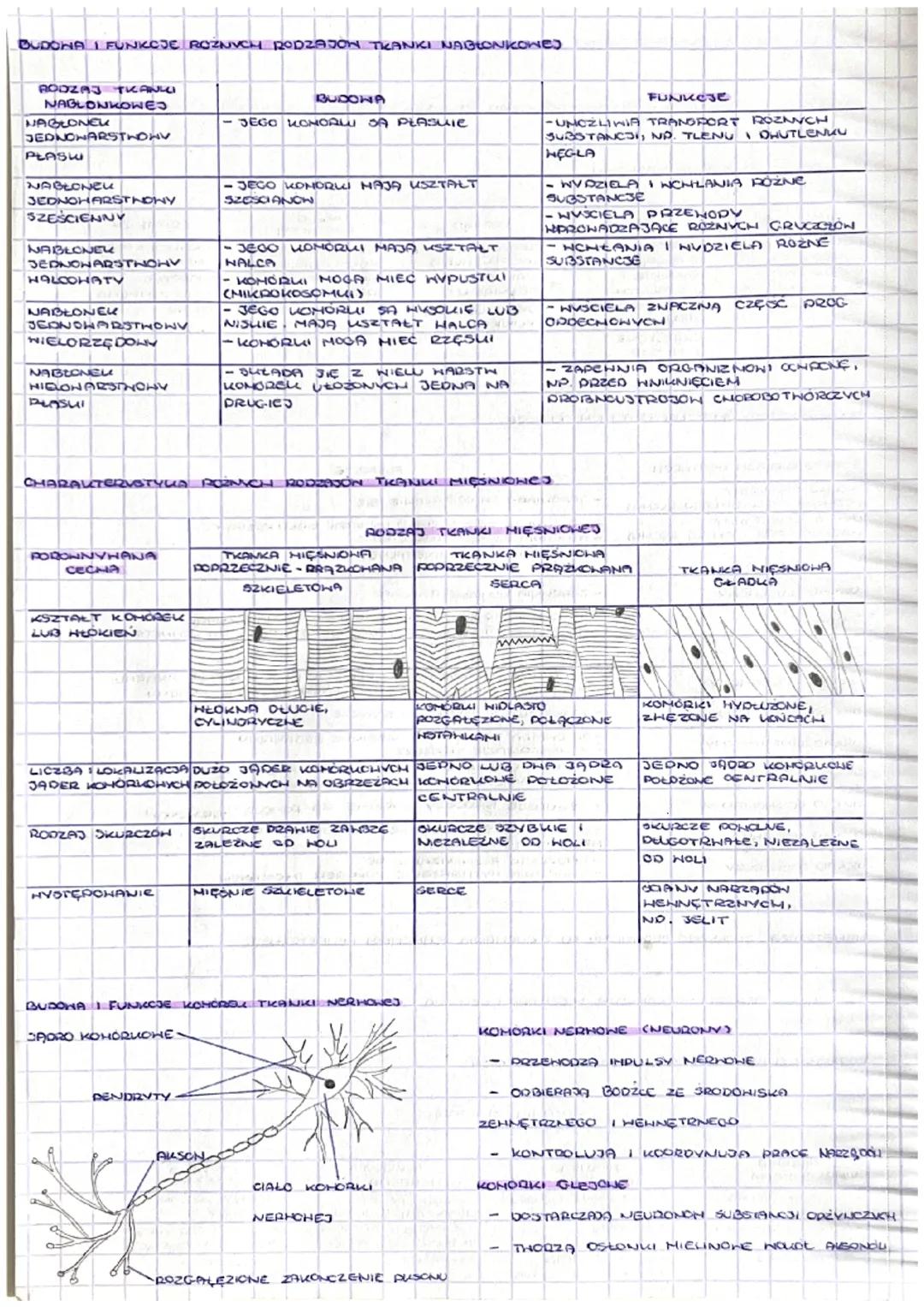 ORGANIZH CZŁOWIEKA JAKO FUNKCJONALNA CAŁOść
TEHAT
HIERARCHICZNA BUDOHA ORGANIZMU.
EFRAC
KOMÓRKA
HIERARCHICZNA BUDONA ORGANIZHU CZŁOWIEKA
POD