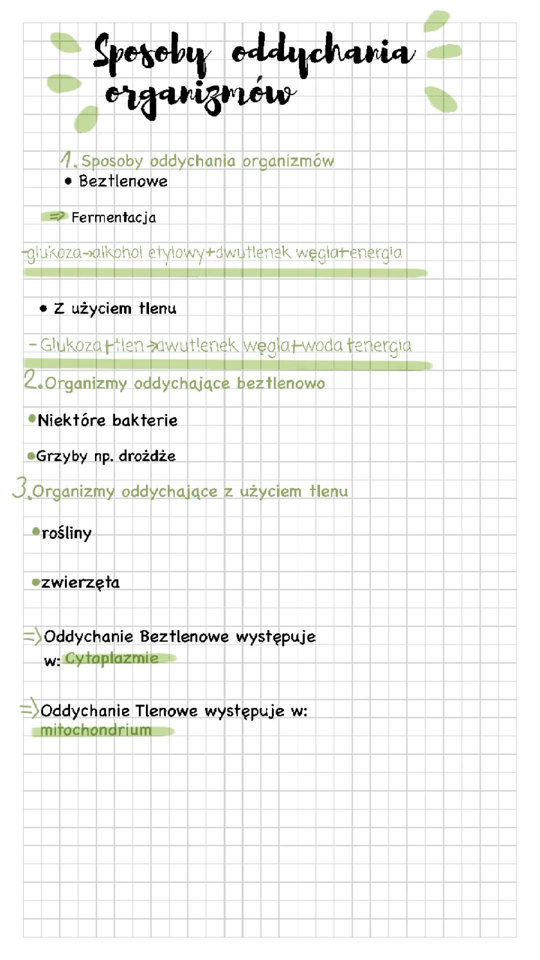Sposoby oddychania organizmów