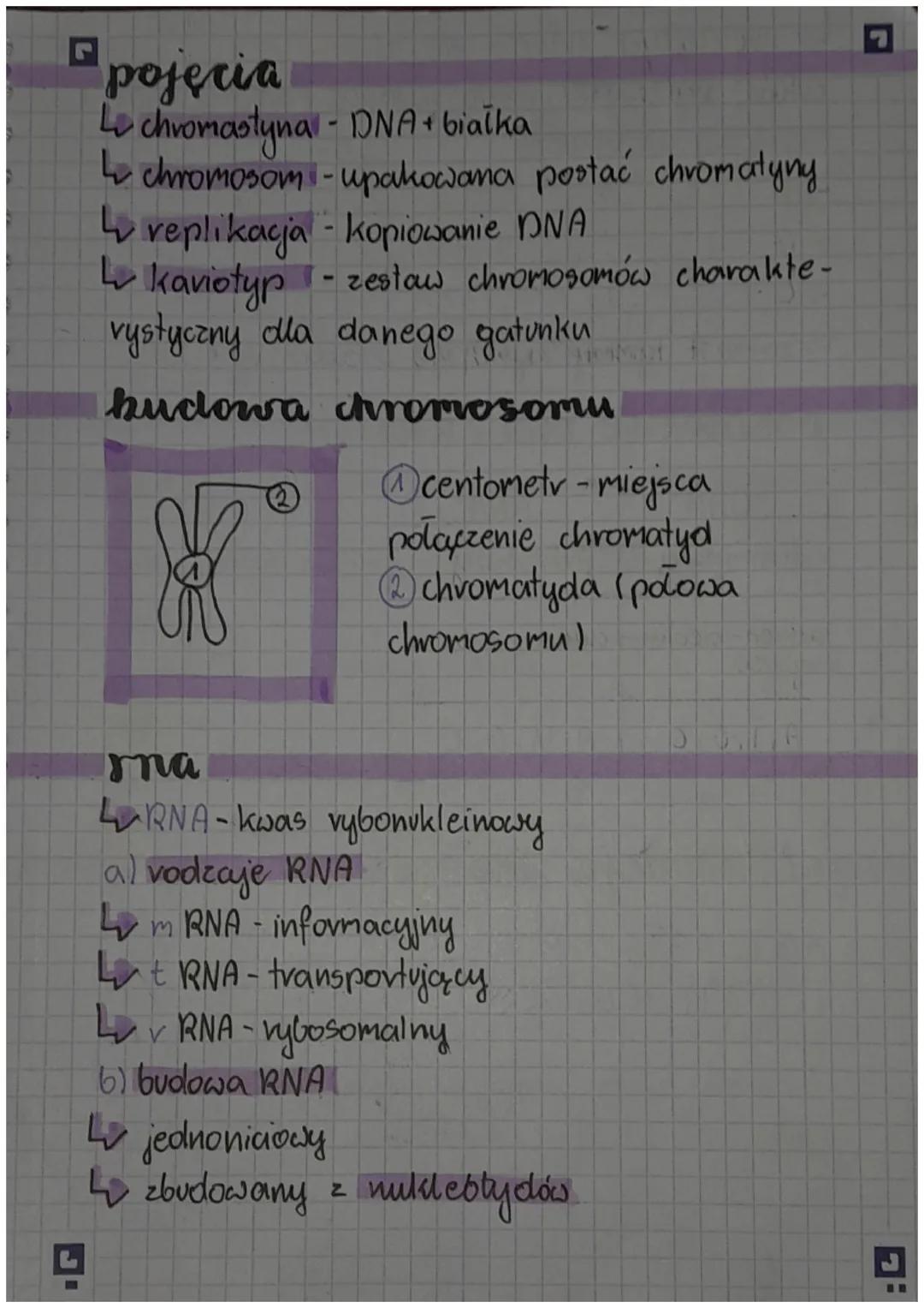 r
DNG
DNA to nośnik informacji genetycznej i zapis
wszystkich cech dziedzicznych organizmu. Jego
pelna nazwa to kwas okoksyvybonukleinowy.
g