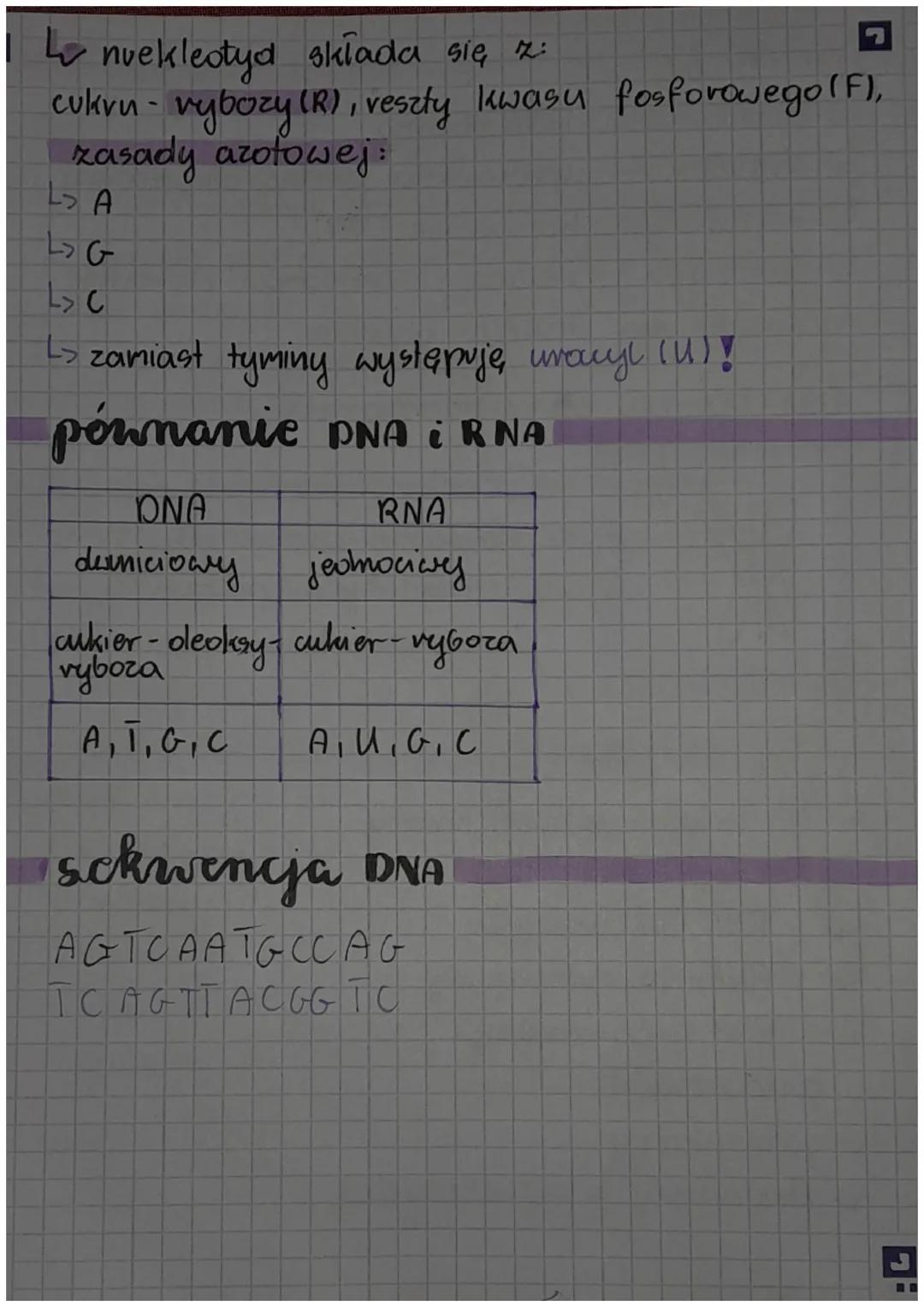 r
DNG
DNA to nośnik informacji genetycznej i zapis
wszystkich cech dziedzicznych organizmu. Jego
pelna nazwa to kwas okoksyvybonukleinowy.
g