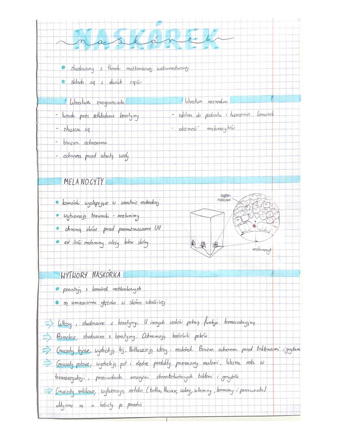 O stanowi 15 %
。- składa się z
O-
ciałka
dotykowe
gruciat
tojowy
thanka
HuszLIOWA
مهمله
FUNKCJE
O Receptorowa
masy
maskórka
skóry
właściwej