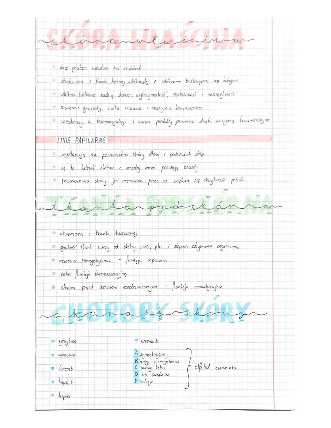 O stanowi 15 %
。- składa się z
O-
ciałka
dotykowe
gruciat
tojowy
thanka
HuszLIOWA
مهمله
FUNKCJE
O Receptorowa
masy
maskórka
skóry
właściwej