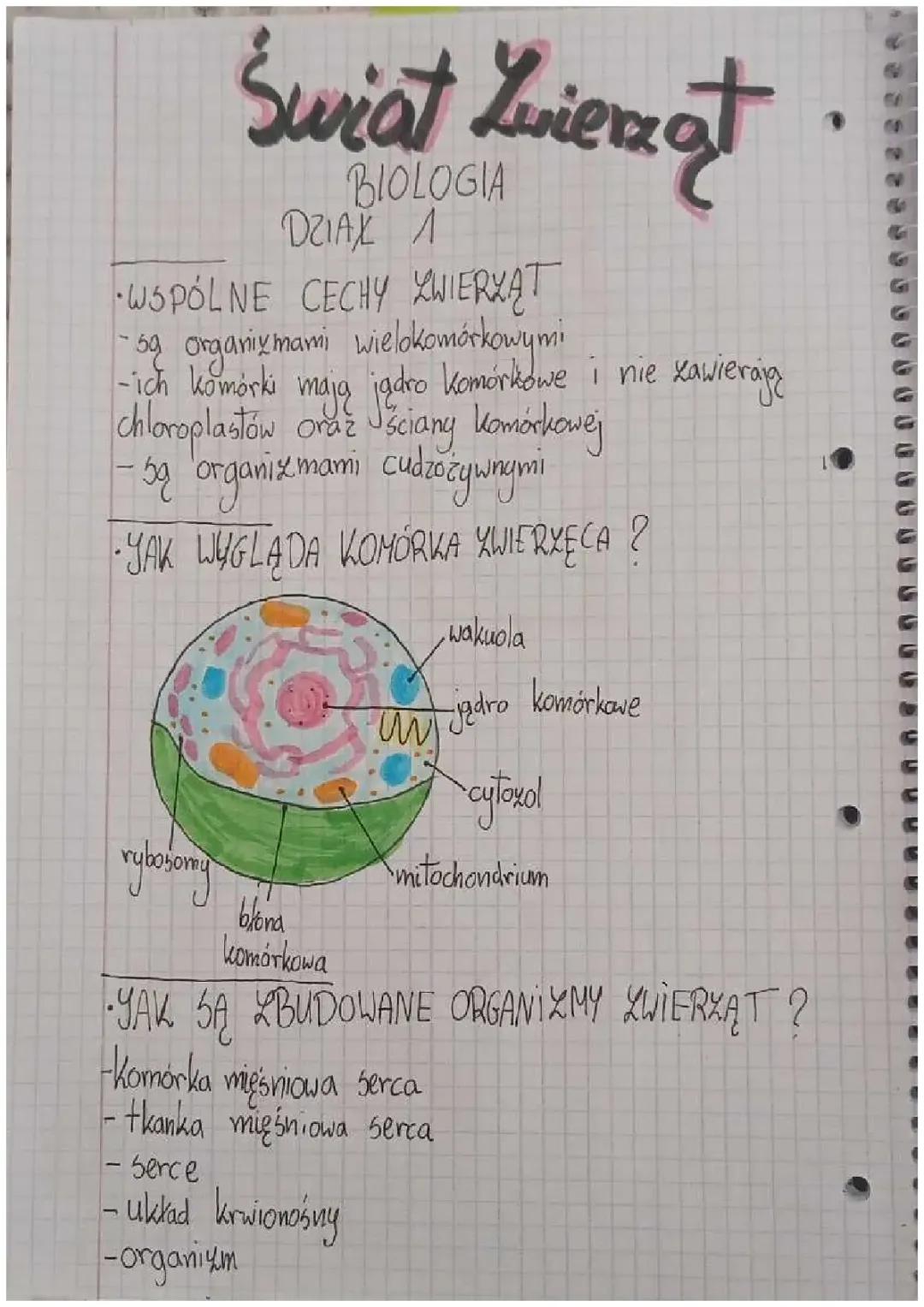 Świat zwierząt klasa 6