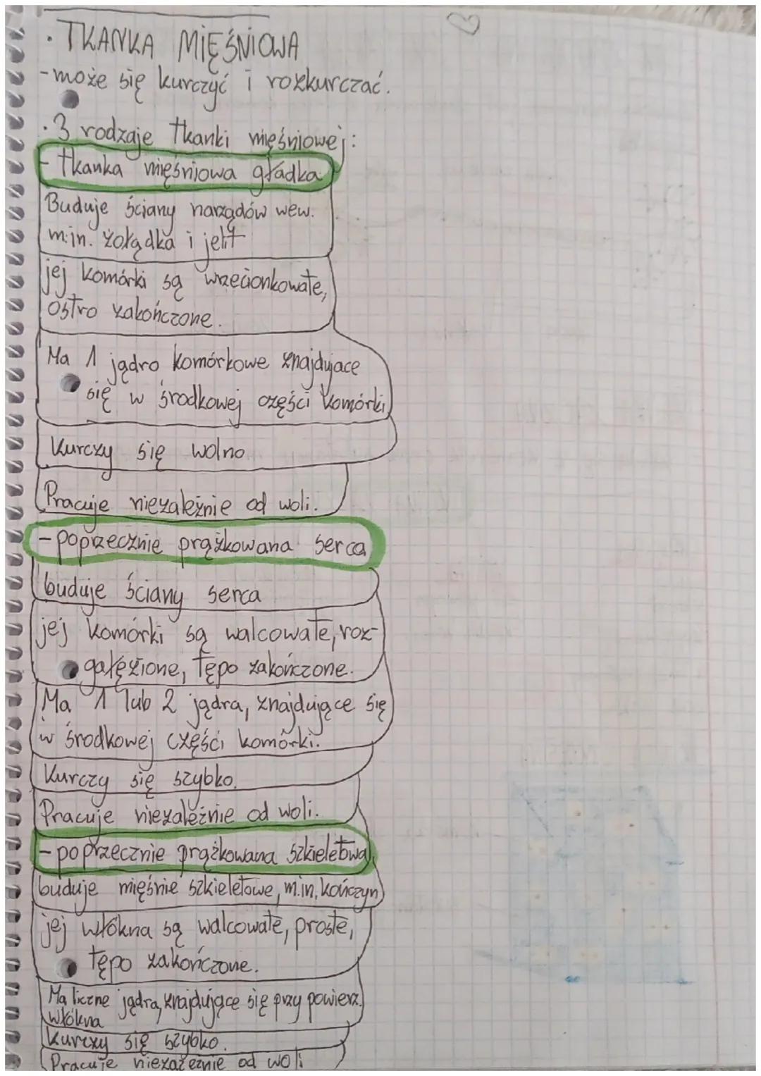 Suriat Luierzat.
BIOLOGIA
DZIAX A
WSPÓLNE CECHY ZWIERZĄT
-59 organizmami wielokomórkowymi
-ich komórki
rybobomy
mają jądro komórkowe i nie z