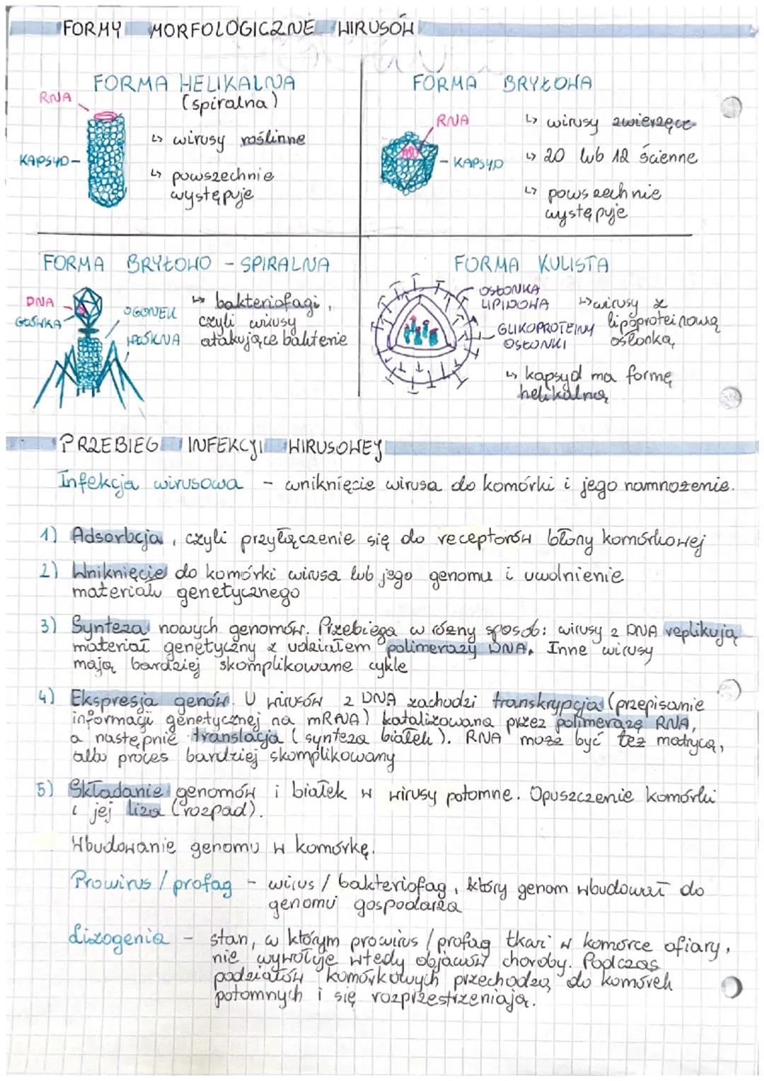 # WIRUSY
Wirusy - czynniki zakaźne zbudowane z białka i kwasu nukleinanega
Sar to meunatrakomórkone pasożyty i atakuja, wszystkie
organizmy