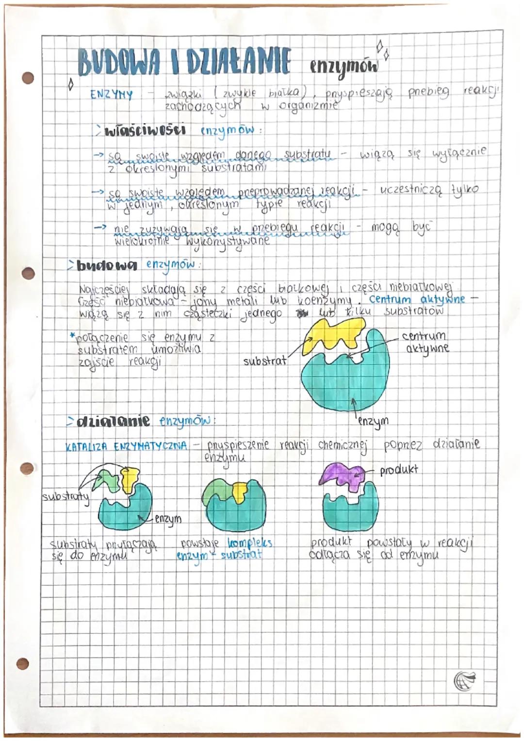 # BUDOWA I DZIAŁANIE enzymón
• ENZYMY - związki (zwykle białka), pryspieszają prebieg reakcji
zachodzących w organizmie
> właściwości enzy