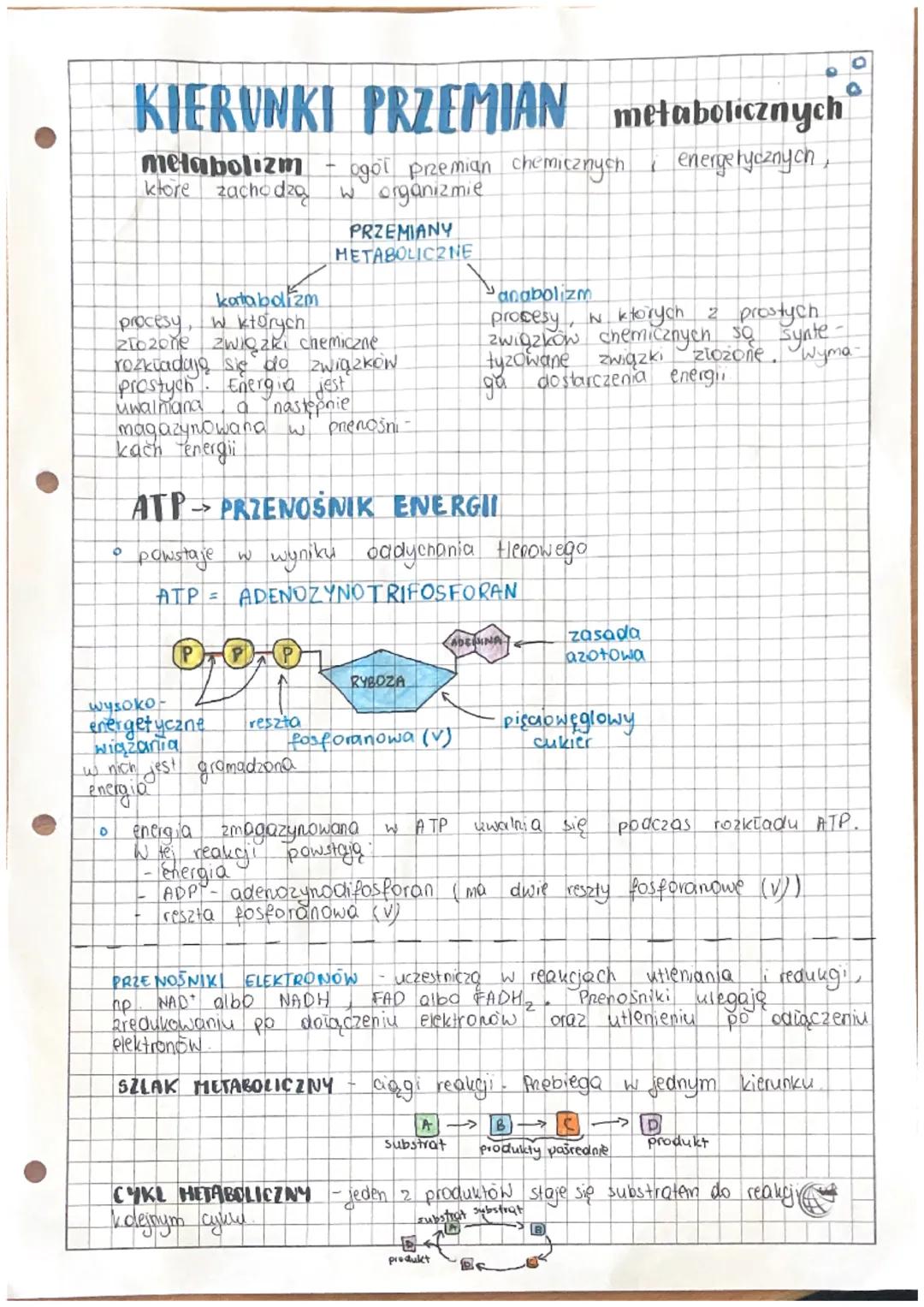 # BUDOWA I DZIAŁANIE enzymón
• ENZYMY - związki (zwykle białka), pryspieszają prebieg reakcji
zachodzących w organizmie
> właściwości enzy