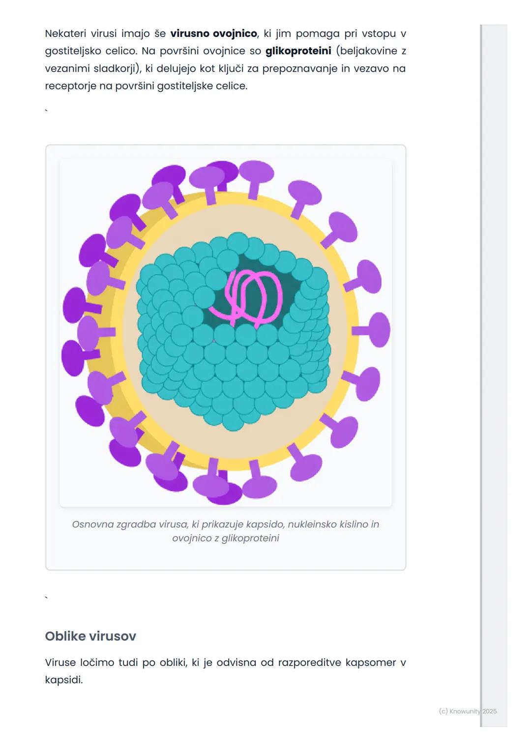 # Virusi – zgradba in pomen
Kaj so virusi?
Virusi so zelo majhni delci, manjši od bakterij. Niso celice, zato jih ne
uvrščamo med živa bit