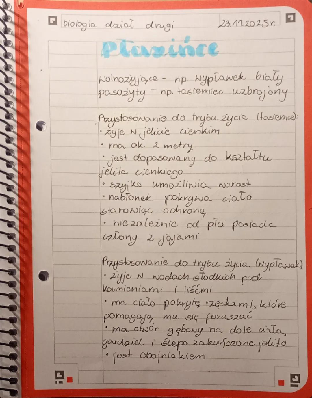 biologia dział drugi
Plazince
23.11.2025.
Wolnoziyjące - np. wypławek biały
pasożyty - np. tasiemiec uzbrojony
Przystosowanie do trybu ż