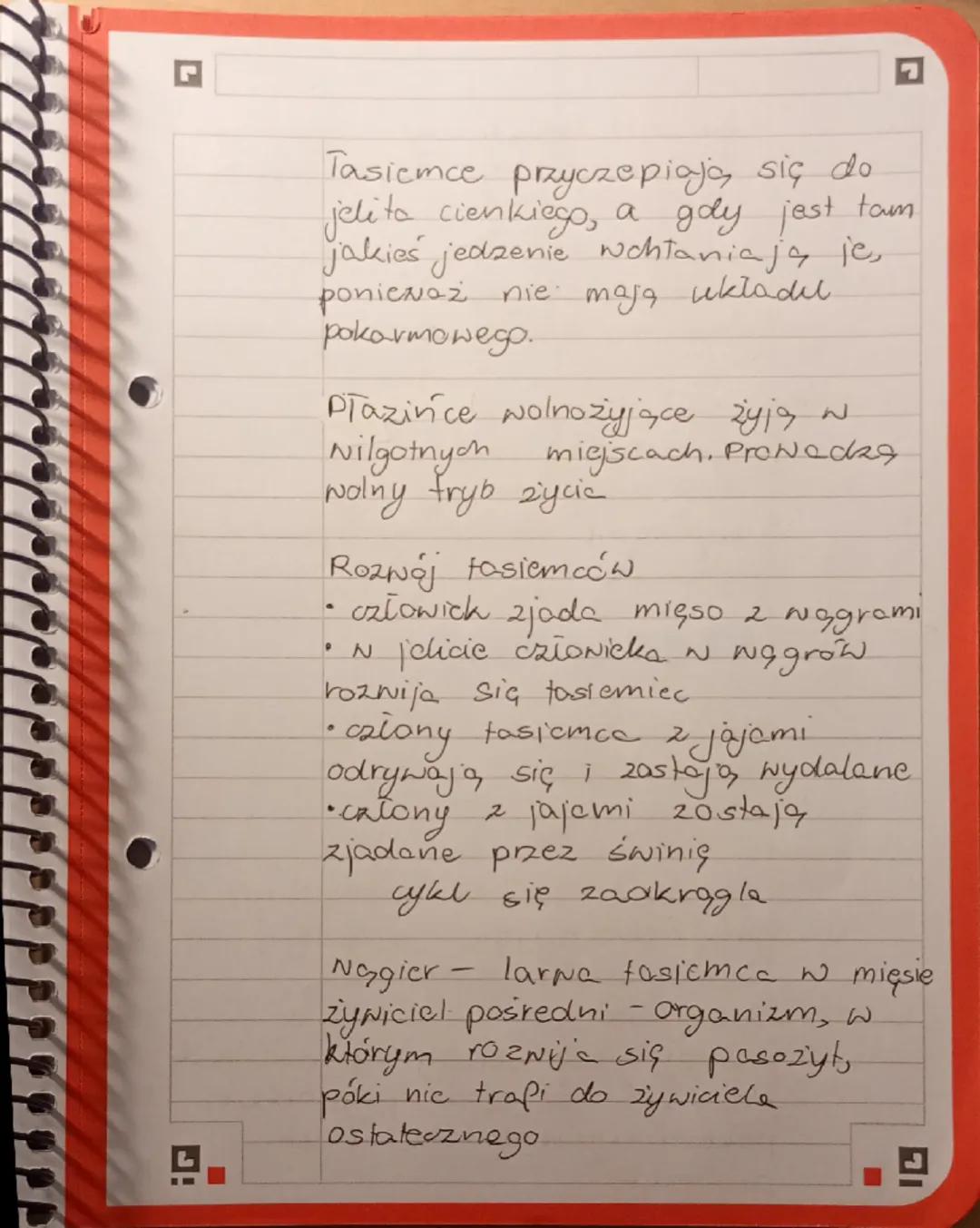 biologia dział drugi
Plazince
23.11.2025.
Wolnoziyjące - np. wypławek biały
pasożyty - np. tasiemiec uzbrojony
Przystosowanie do trybu ż