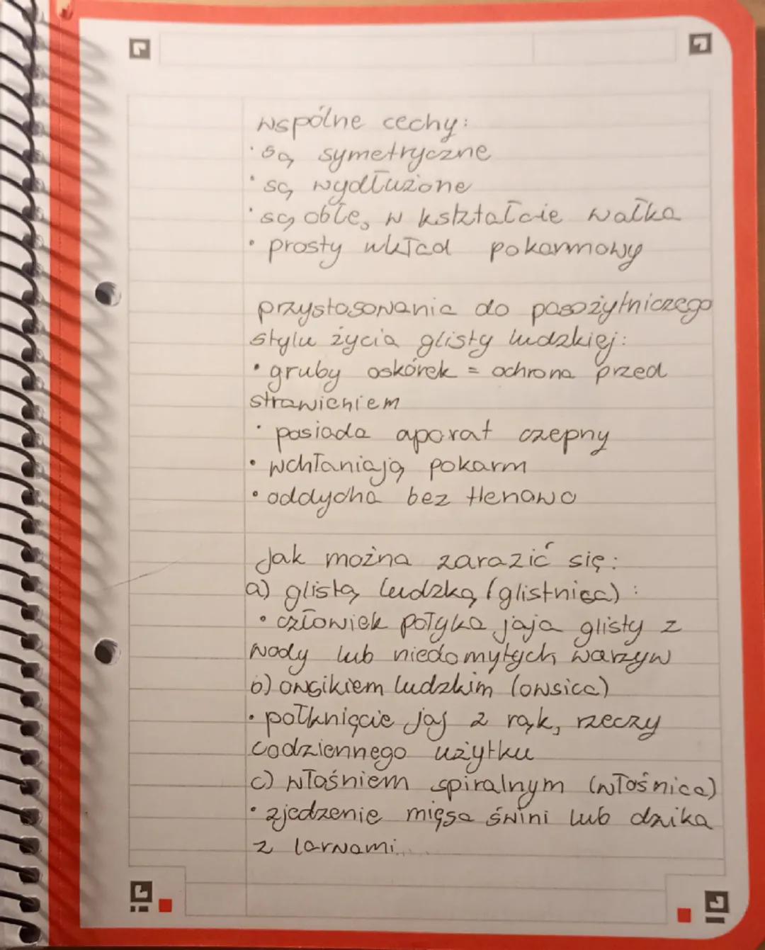 biologia dział drugi
Plazince
23.11.2025.
Wolnoziyjące - np. wypławek biały
pasożyty - np. tasiemiec uzbrojony
Przystosowanie do trybu ż