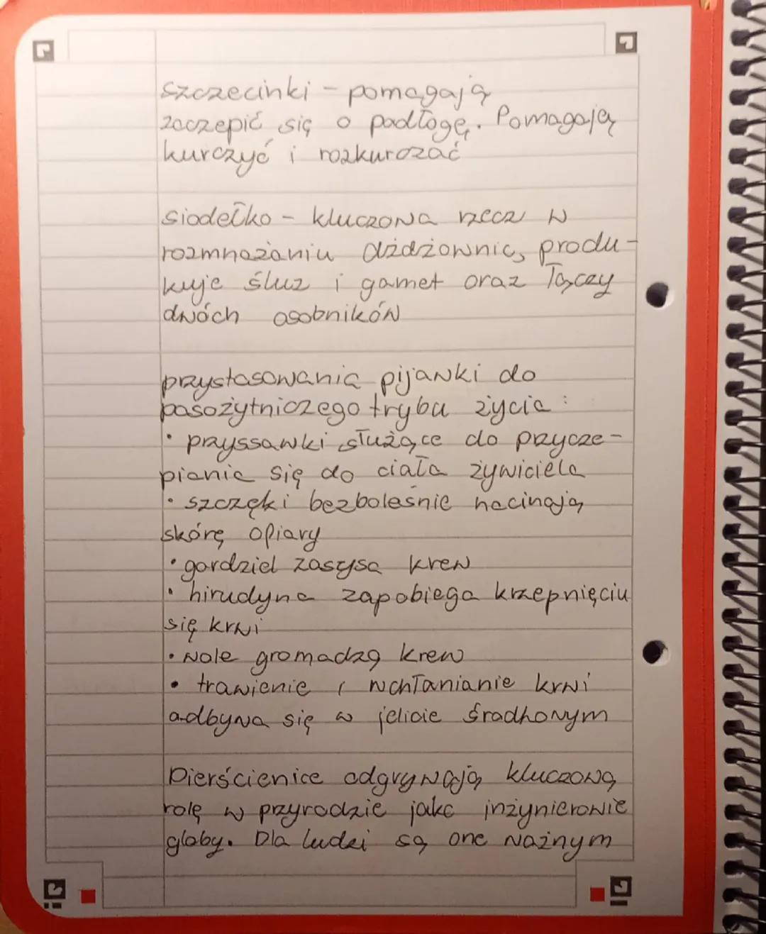 biologia dział drugi
Plazince
23.11.2025.
Wolnoziyjące - np. wypławek biały
pasożyty - np. tasiemiec uzbrojony
Przystosowanie do trybu ż
