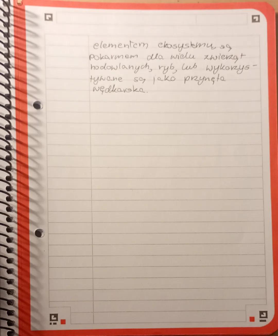 biologia dział drugi
Plazince
23.11.2025.
Wolnoziyjące - np. wypławek biały
pasożyty - np. tasiemiec uzbrojony
Przystosowanie do trybu ż