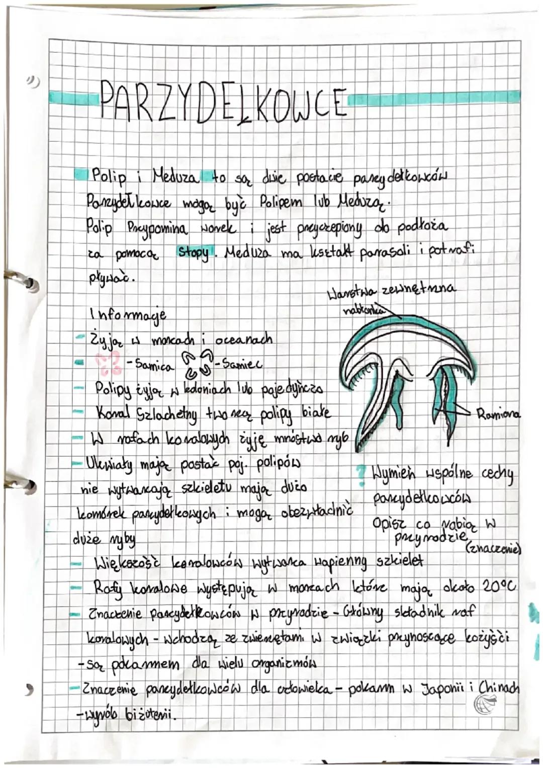 Biologia płazińce nicienie parzydełkowce