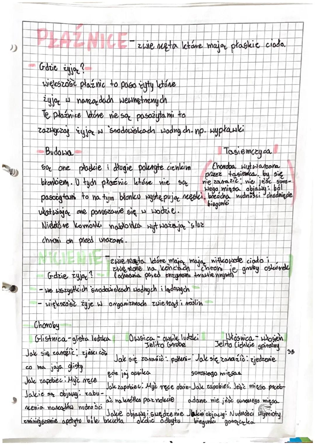 PARZYDELKOWCE
Polipi Meduza to są dwie postacie paszy dekkowców
Parzydełkowce mogą być Polipem lub Meduza.
Polip Preypomina Novek i jest prz