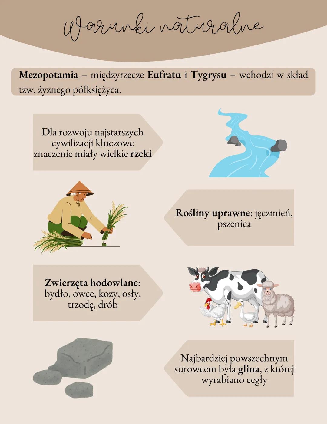 贼
Starożytna
Mezopotamia Warunki naturalne
Mezopotamia międzyrzecze Eufratu i Tygrysu - wchodzi w skład
tzw. żyznego półksiężyca.
Dla rozwoj