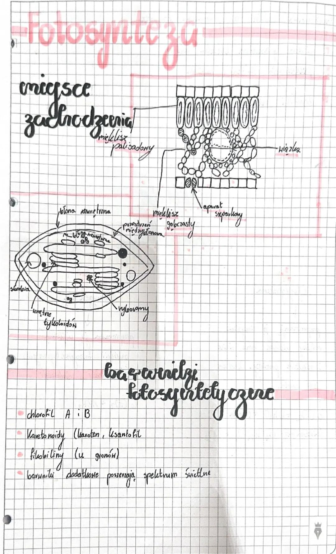 # Fotosynte zu
migsce
zroczenia 1000000
Omielelisz
sador
blona Kennetrina
mielelisz
Preston gobczasty
Vaparat
shrdaia
retrie
tylesbidón