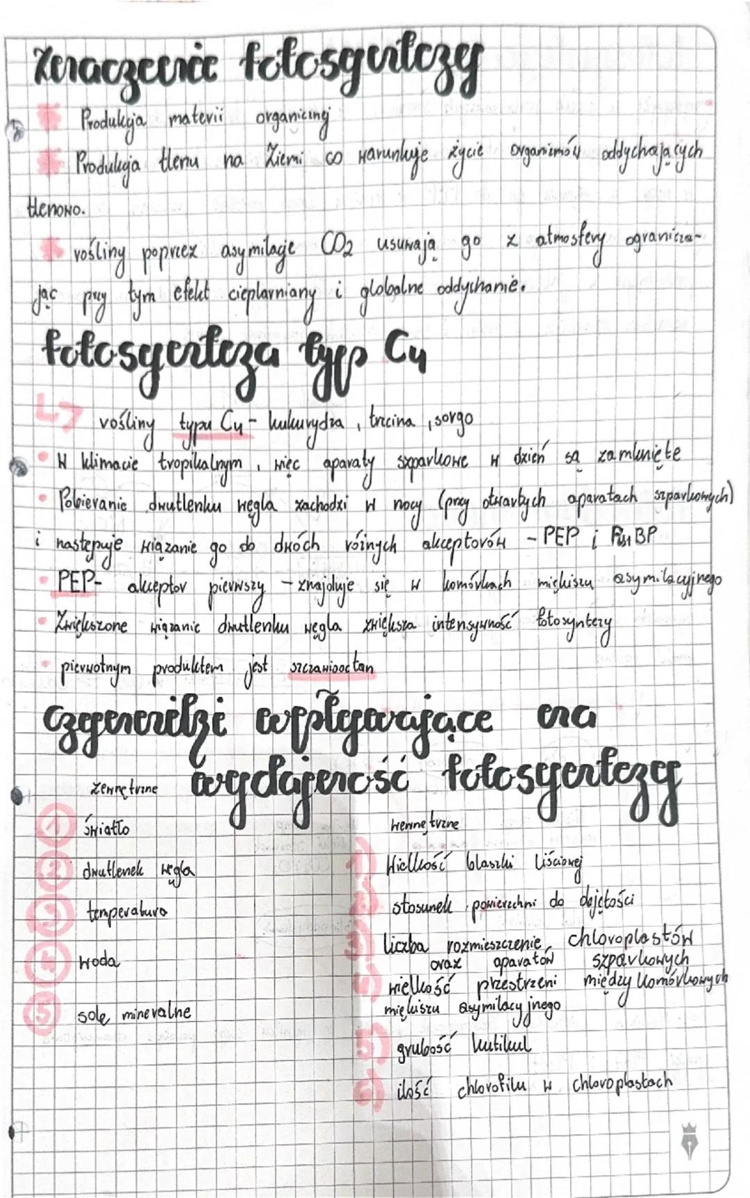 # Fotosynte zu
migsce
zroczenia 1000000
Omielelisz
sador
blona Kennetrina
mielelisz
Preston gobczasty
Vaparat
shrdaia
retrie
tylesbidón