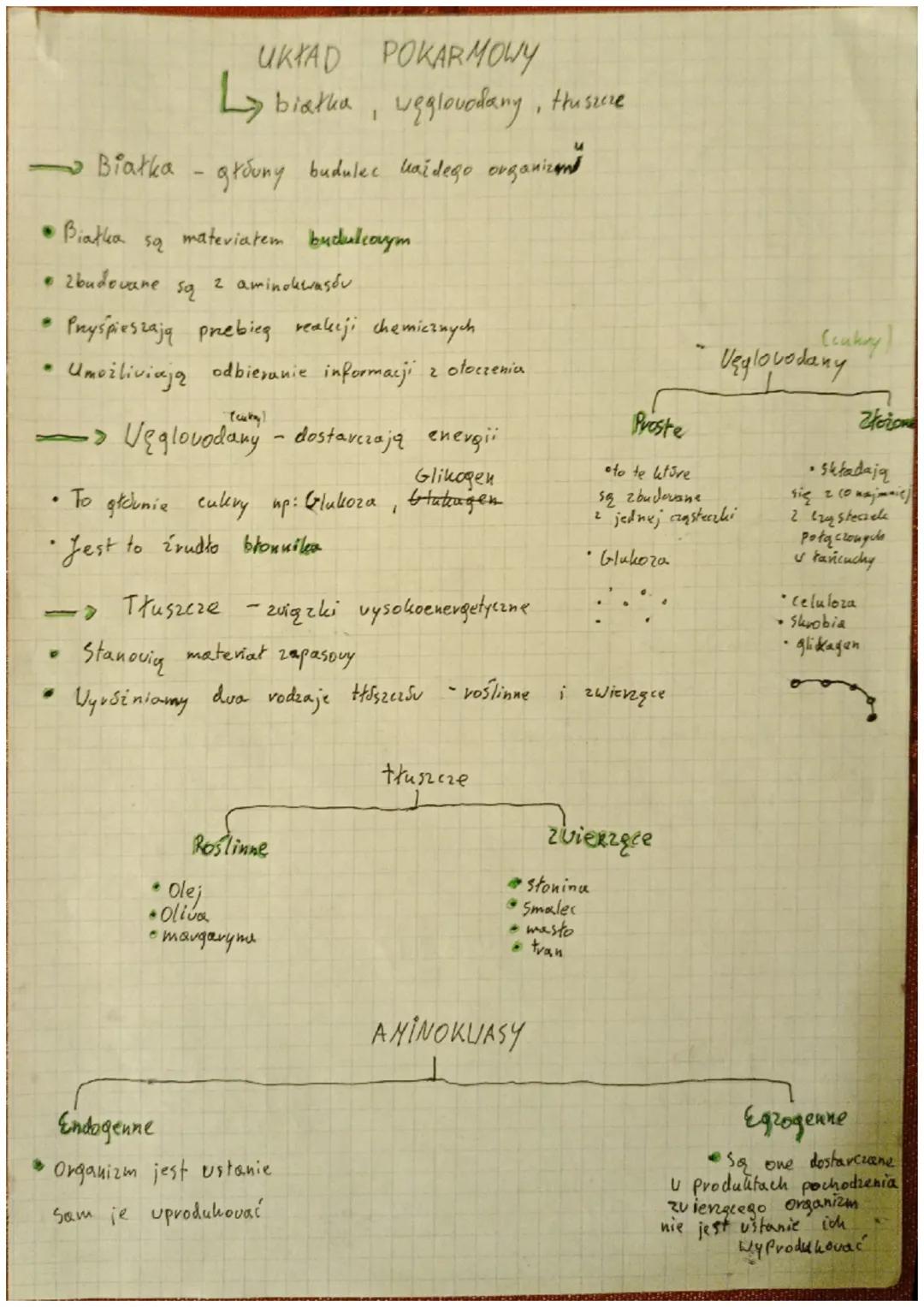 # UKŁAD POKARMOWY
→biatha, węglowodany, thusecre
→Białka - główny budulke uaždego organizem
• Białka są materiałem budulcaym
• zbudowane