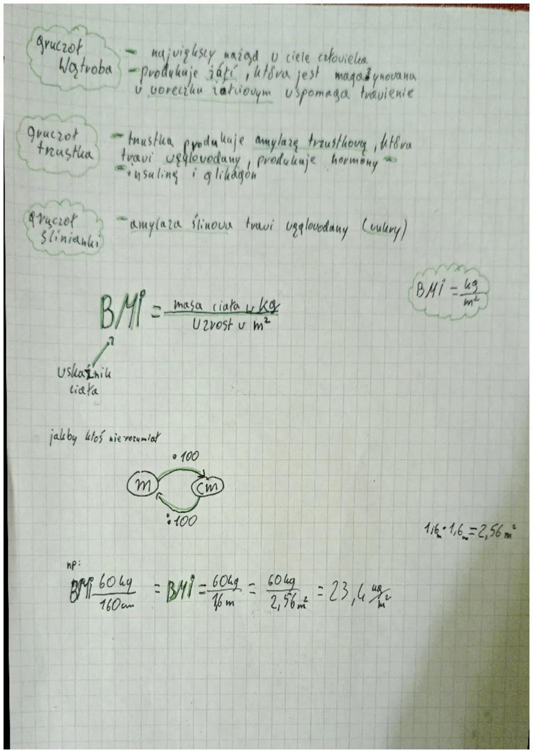 # UKŁAD POKARMOWY
→biatha, węglowodany, thusecre
→Białka - główny budulke uaždego organizem
• Białka są materiałem budulcaym
• zbudowane