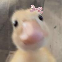 user profile picture