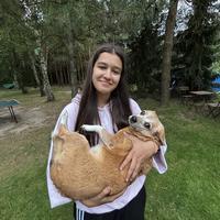 user profile picture