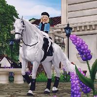 user profile picture