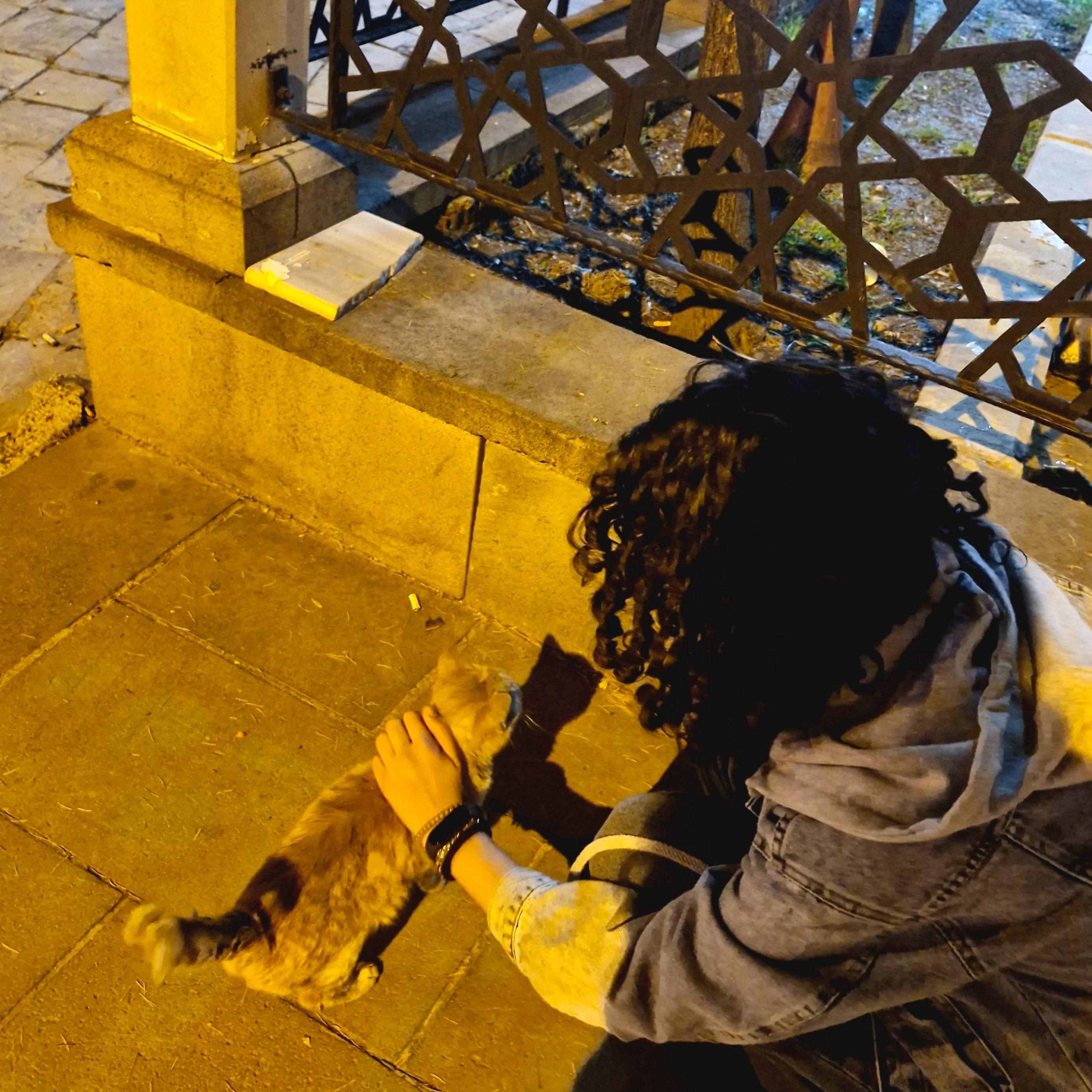 user profile picture