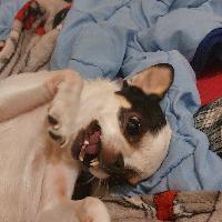 user profile picture