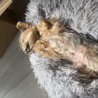 user profile picture