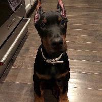 user profile picture