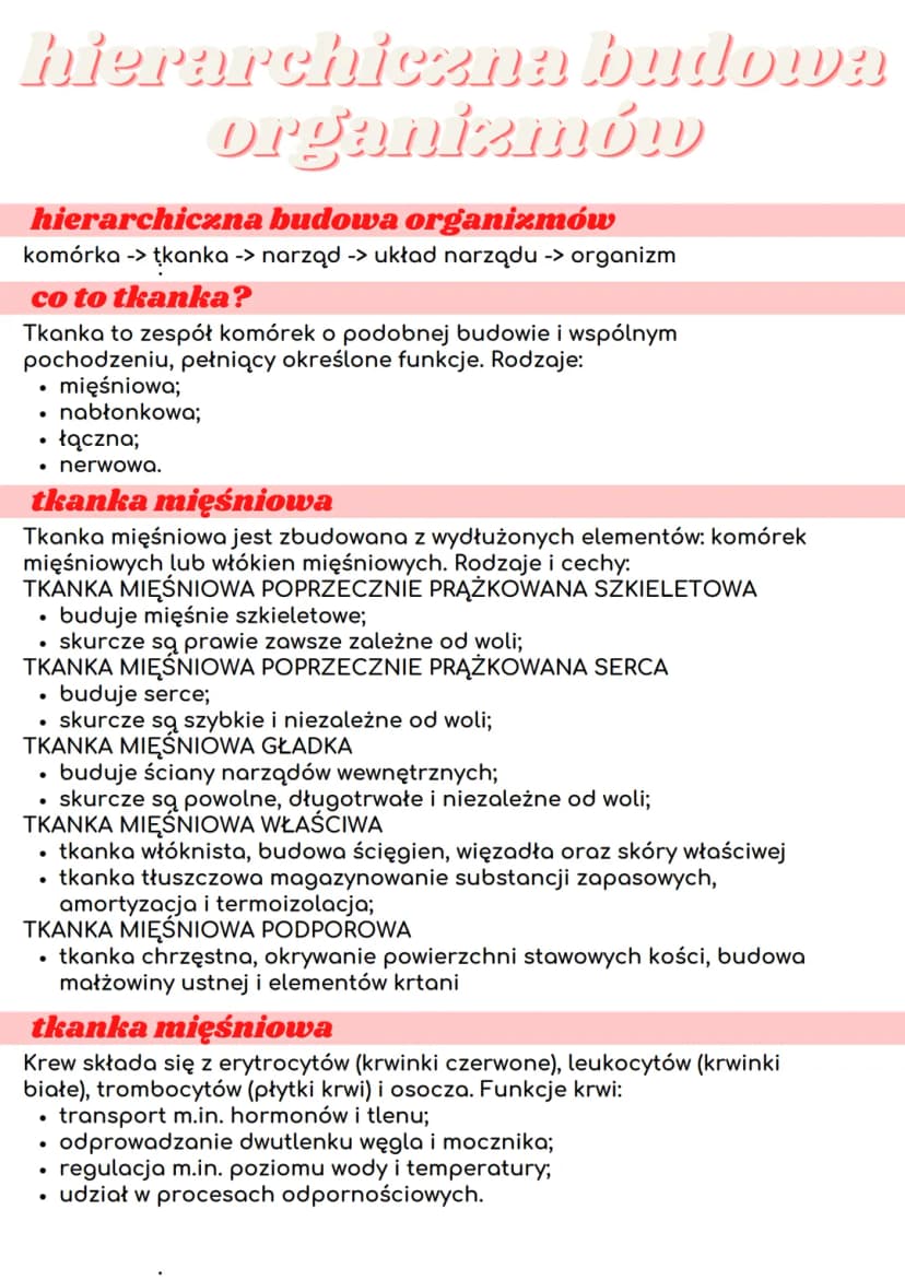 Hierarchiczna Budowa Organizmu Cz owieka Notatka I Przyk ady hierarchiczna-budowa-organizmu-cz-owieka-notatka-i-przyk-ady